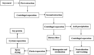 Protein for Human Consumption From Oilseed <mark class="highlighted">Cake</mark>s: A Review